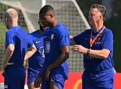 乐鱼app-从青涩菜鸟到世界亚军,飞翔的荷兰女足还有未来